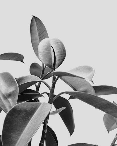 Elementor #23 service1.jpg