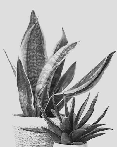 Elementor #23 service3.jpg